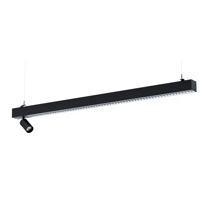 Notor 65 Dynamic Beta Opti