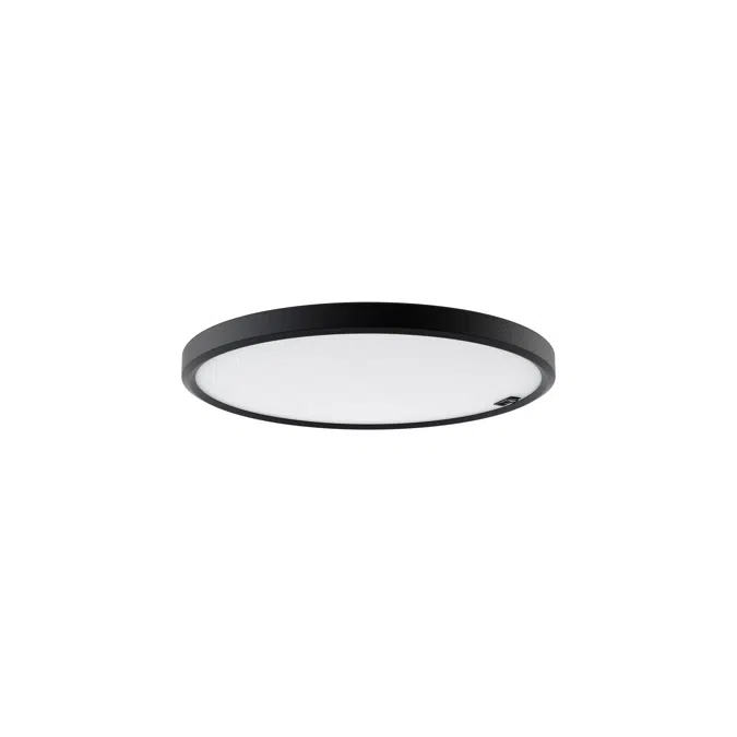 Pozzo Scale Ceiling