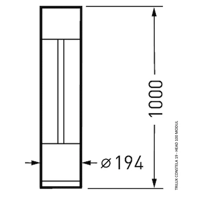 Constela 19