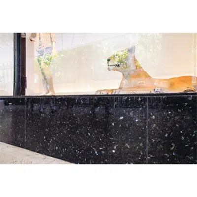 画像 Lundhs Emerald Wall Tiles