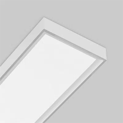 Image for PRIMO, Surface 1x4