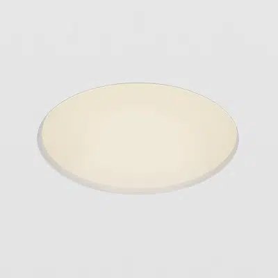 Immagine per POP RECESSED REGRESSED, Round