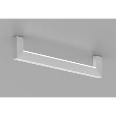 Image for FORTEX 1, Surface, Inlight