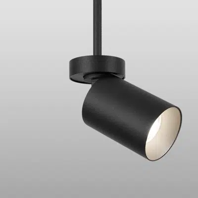 Immagine per AERA 3 FLEX CYLINDER, Pendant, Direct