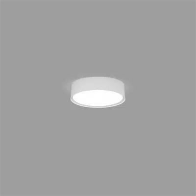 изображение для SHELL ROUND, Surface 8, Direct