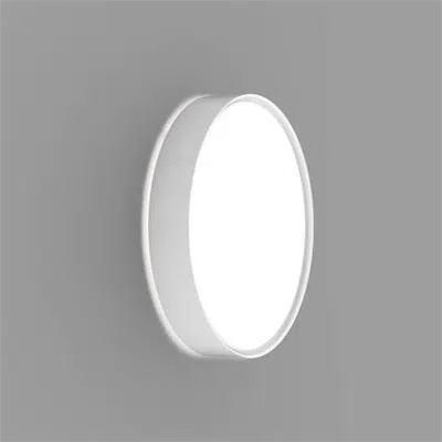 Image for SHELL ROUND, Wall 12, Direct