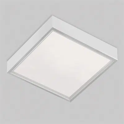 Image for PRIMO, Surface 2x2