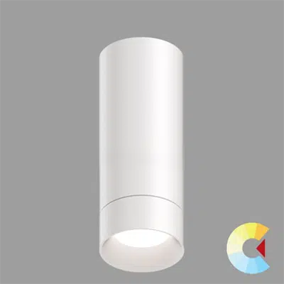 imagem para VOILA4 CYLINDER-CUBOID, Surface Cylinder