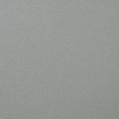 画像 NEOKEM Sahara 507 Silver