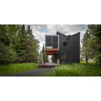 Immagine per Exterior Cladding - Basic Wall System