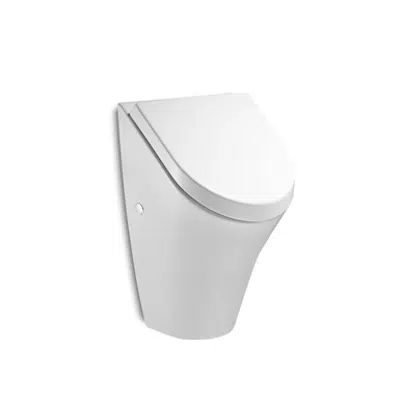 NEXO Urinal w/ back inlet w/ cover için görüntü