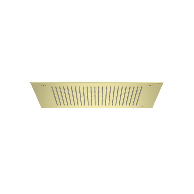 Raindream Stainless steel shower head for ceiling installation. Rain function