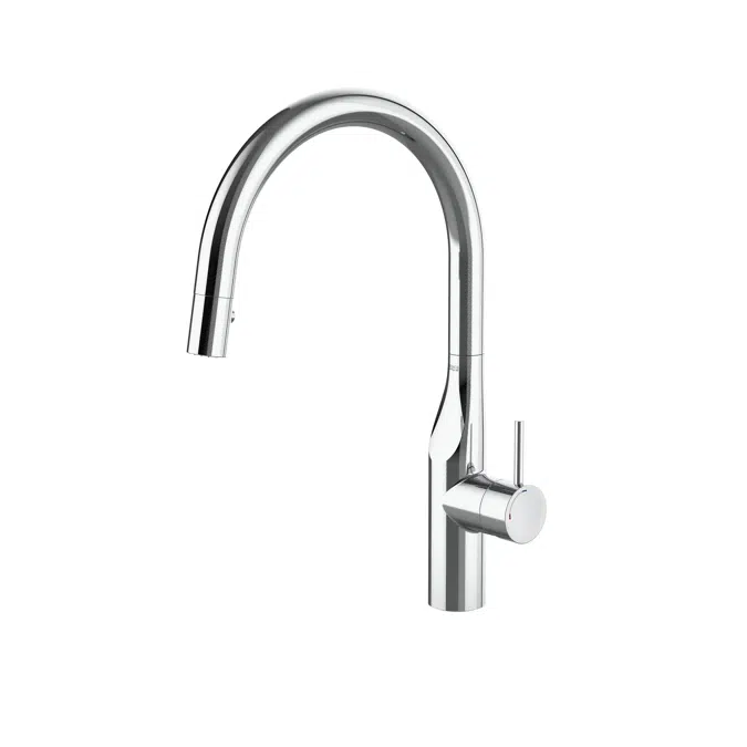 GLERA Single-lever kitchen mixer with curved swivel spout and two-function pull-out shower