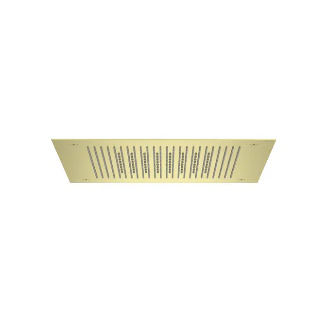 Raindream Stainless steel shower head for ceiling installation. Rain and NightRain functions