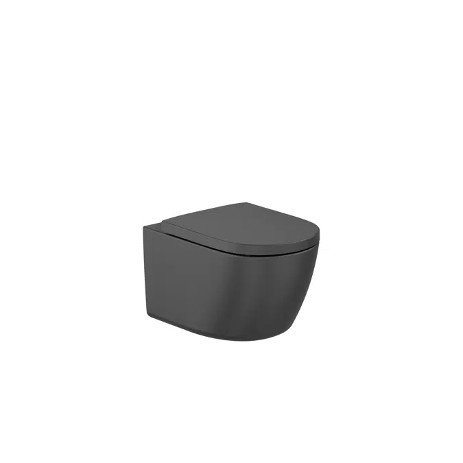 Meridian - Wall-hung Roca Rimless® Vortex WC