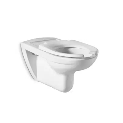 Immagine per ACCESS Wall-hung Toilet for PRM