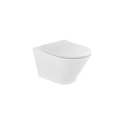 imagen para ROUND Ceramic wall-hung Roca Rimless® WC and hidden fixations. A compatible Roca installation system is required for the installation of wall-hung WCs.