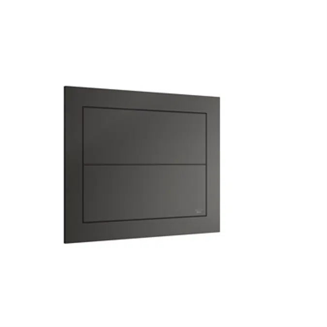 ARMANI - ISLAND 250x41.5x200mm Built-in 3/6L dual capacitative flush plate