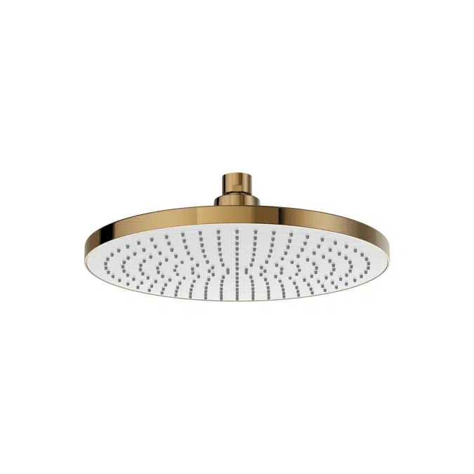 Rainsense Stainless steel shower head for ceiling installation. Rain function
