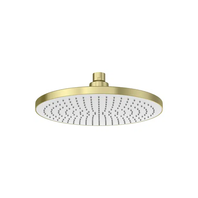 Rainsense Stainless steel shower head for ceiling installation. Rain function