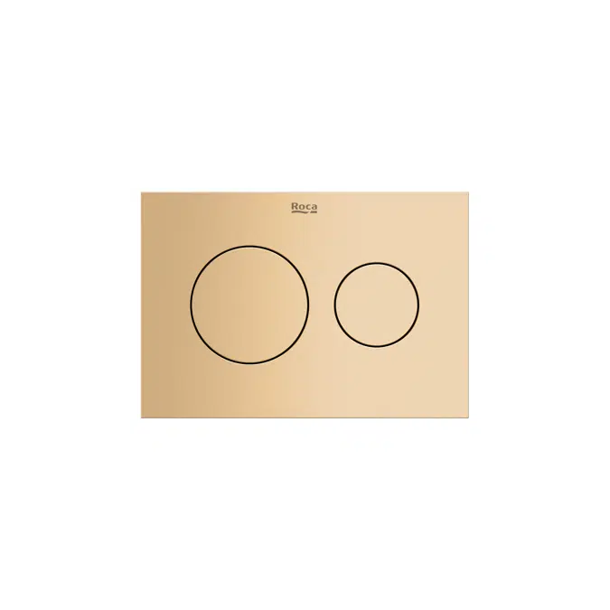 Duplo S PS3 Dual - Dual flush plate