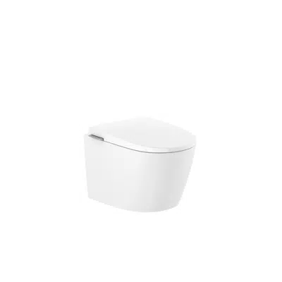 kuva kohteelle Vitreous china wall-hung WC