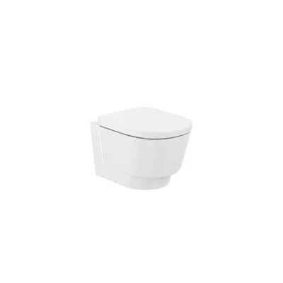 afbeelding voor Tura  Vitreous china wall-hung RIMLESS® WC