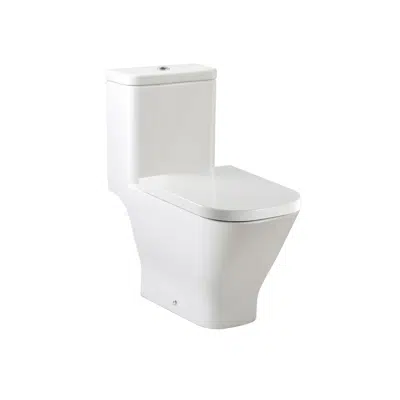 bild för The Gap . One piece WC with dual outlet
