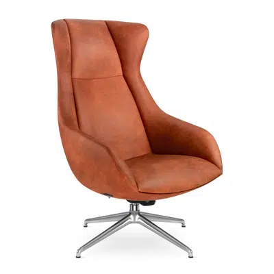 Image for Terra Lounge XL Armchair