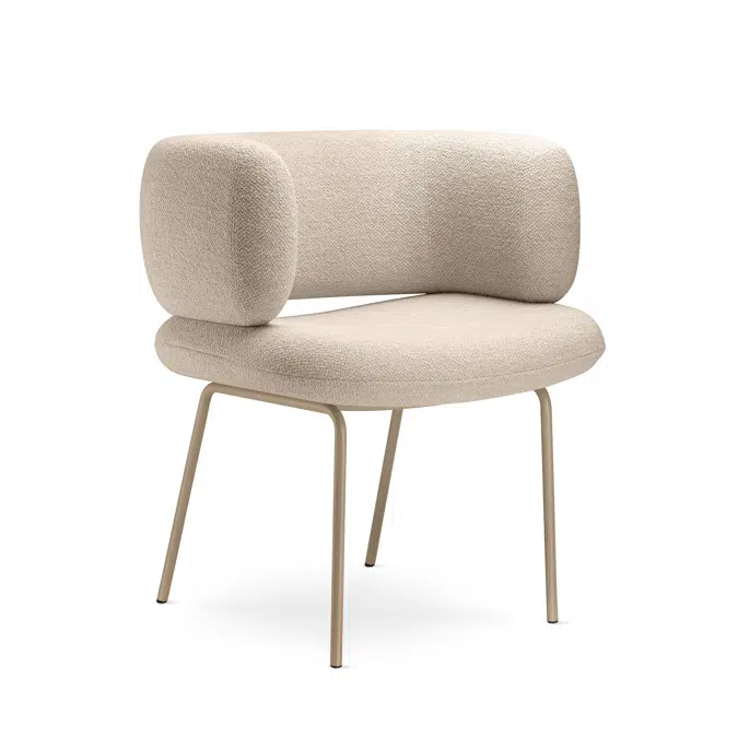 Dafna M Sessel