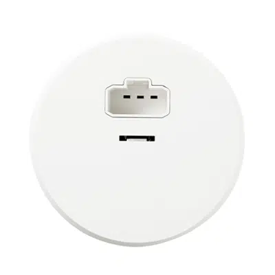 afbeelding voor DCL ceiling socket outlet  RS16 PW RAL9003