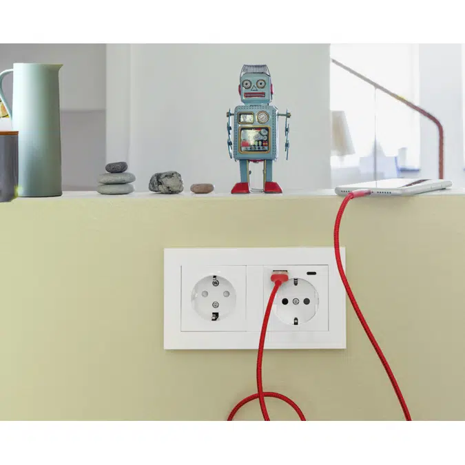 RS16 single socket-outlet with USB A+C PW RAL9003