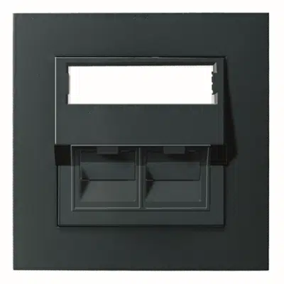 Image for Modular outlet 2xRJ45 PLUS flush BLK RAL9005