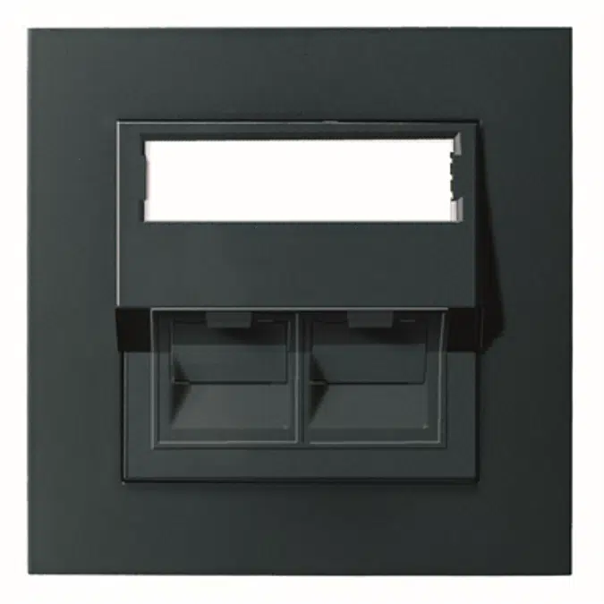 Modular outlet 2xRJ45 PLUS flush BLK RAL9005