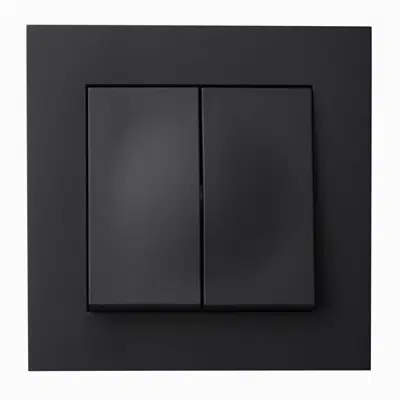 Obrázek pro 2-circuit switch PLUS flush RAL9005