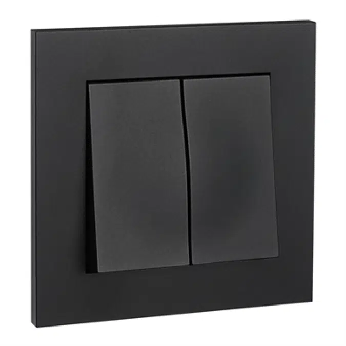 2-circuit switch PLUS flush RAL9005