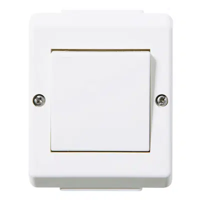 RS16 switch two-way IP55 surface PW RAL9003 için görüntü