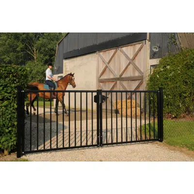 obraz dla Bardo swing gate