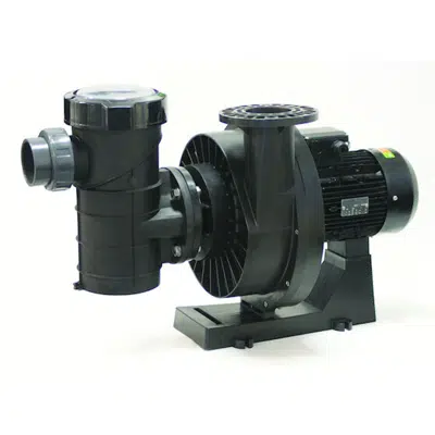 imagem para Kivu self-priming pumps 50Hz for pool