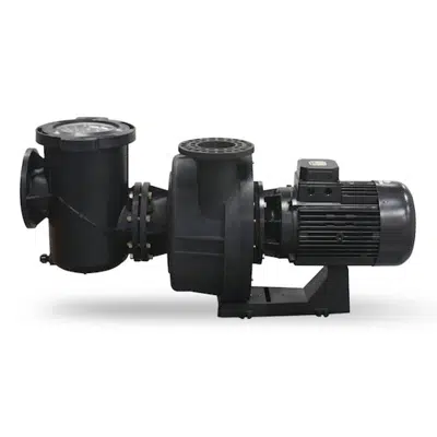 изображение для Kivu centrifugal pump with prefilter 50Hz for pool
