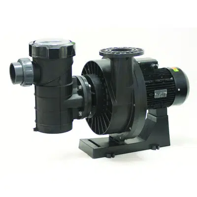 Image for Kivu self-priming pumps with prefilter 50Hz for pool