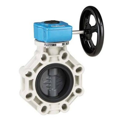 Immagine per BUTTERFLY VALVE INDUSTRIAL SERIES WITH GEAR BOX