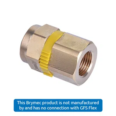 Immagine per CSST - Female BSPT Straight Adapter