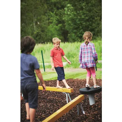 Image for Balance Course Function