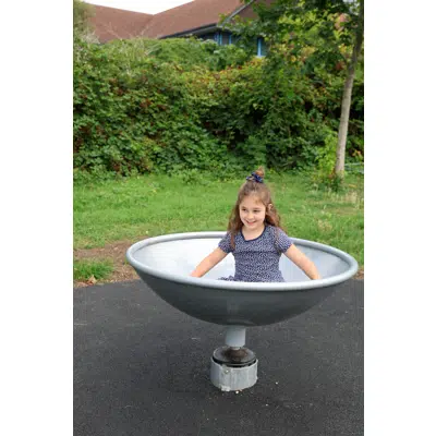 bild för Inkluderande karusell Rota Roka