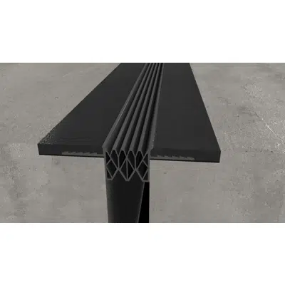 Image pour CS – Chambered Wing Parking Expansion Joint Seal