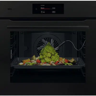 Image pour AEG BI 7000 Oven Matt 60 cm