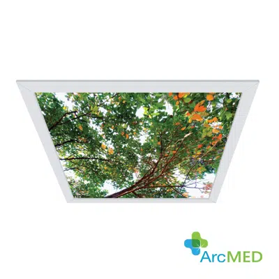 Image for CVEN2 ArcMed Comforting Views, Recessed
