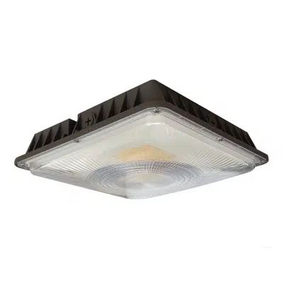 Image for Lumark AP CLCS Canopy