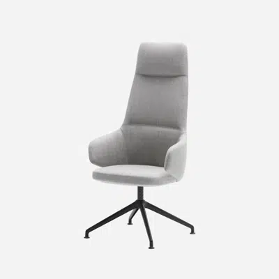 Immagine per BIN0320 - Armchair with high back and 4 spoke aluminum swivel base.